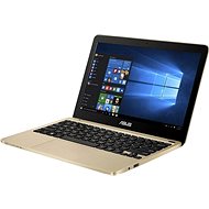 ASUS VivoBook E200HA-FD0081TS gold - Laptop