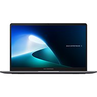 ASUS ExpertBook P1 P1503CVA-C058512X Misty Grey (without adapter) - Laptop