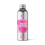 Nanolab Love 300 ml, 60 PD - Laundry Perfume