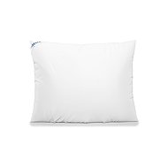 nanoSPACE Set of 2 ball pillows without zipper, 30 × 40 cm, 300 g - Pillow