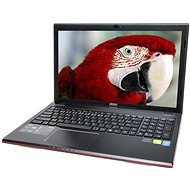 MSI GE60 2OC-245XCZ - Laptop