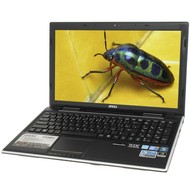 MSI FX603-046CS - Laptop