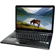 MSI GE40 2OC-022CZ - Laptop
