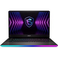 MSI Raider GE77HX 12UHS-014CZ - Gaming Laptop