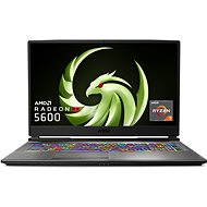 MSI Alpha 17 A4DEK-020CZ Metal - Gaming Laptop