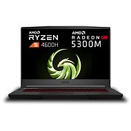 MSI Bravo 15 A4DCR-061CZ - Gaming Laptop
