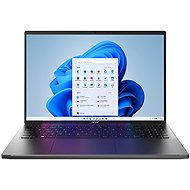 ACER Swift Go SFG16-74-7 NX. JNMEU.001 Black - Laptop