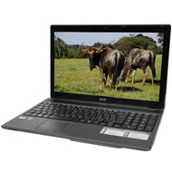 Acer Aspire 5250-E304G50Mikk - Laptop