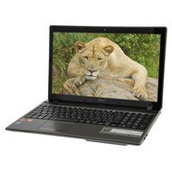Acer Aspire 5560G-6346G75Mnkk - Laptop
