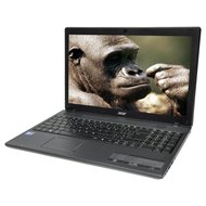 Acer TravelMate 5744-384G50Mnkk Black - Laptop