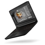 Acer ConceptD 5 Pro - Notebook