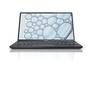 Fujitsu LIFEBOOK U9311 Black - Laptop