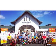 DMO STAYS - support for people with disabilities - Charity Project