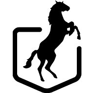 Black horses - Charity Project