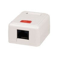 Solarix, CAT5E, UTP, 1x RJ45, na omítku, bílá - Socket
