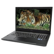 Dell Vostro 3750 stříbrný - Laptop