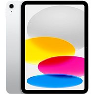 iPad 10.9" 256GB WiFi Silver - Tablet