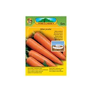 NOHEL GARDEN Late carrots - Seeds