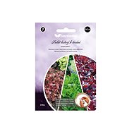 NOHEL GARDEN Strip lettuce 3x2m - Seeds
