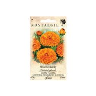 MORAVOSEED CZ Calendula - Seeds