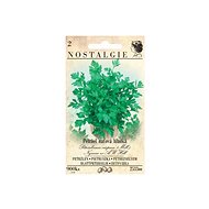 MORAVOSEED CZ Parsley smooth - Seeds