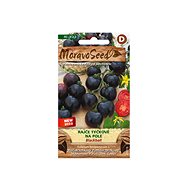 MORAVOSEED CZ Rajče tyčkové na pole BLACKBALL - Seeds