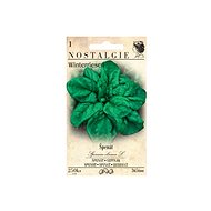 MORAVOSEED CZ Spinach WINTERRIESEN - Seeds