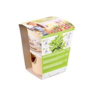 MINI-GARDEN Flowerpot - BASIL, Plastic Substrate + Seeds, diameter of 11cm - Flower Pot