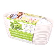 Box GARDEN SAHARA - MARJORAM Substrate + Seed 27cm - Flower Box