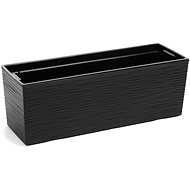 Box BEGONIA PROUTI Plastic Black 56x19x19cm - Flower Box