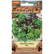 MORAVOSEED CZ Basil, mixture - Seeds