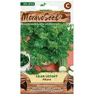 Celery Leaf PIKANT - Seeds
