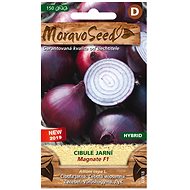 Spring Onion MAGNATE F1 - Hybrid, Red - Seeds