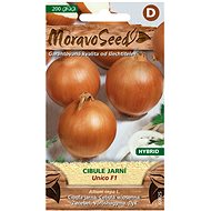 Spring Onion UNICO F1 - Hybrid, Yellow - Seeds