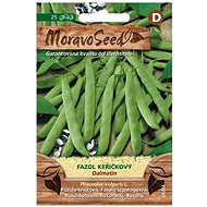 Shrub Beans DALMATIN, Green - Seeds