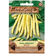 Bush Beans BLANCHE, Yellow - Seeds