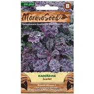 Curly Ornamental SCARLET Red - Seeds