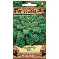 Curly Kale KAPRAL, Green - Seeds