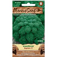 MORAVOSEED CZ Curly KAPITAL F1 - hybrid, green - Seeds