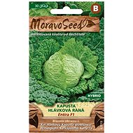 Early Cabbage Head ENTIRA F1 - Hybrid - Seeds