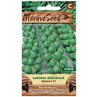 MORAVOSEED CZ Brussels sprouts DOROLES F1 - hybrid - Seeds