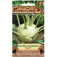 MORAVOSEED CZ Kedluben semi-late TROJA F1 - hybrid, white - Seeds