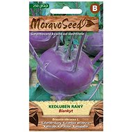 Early Kohlrabi BLANKYT, Blue - Seeds