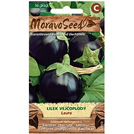 Aubergine LAURA, Purple - Seeds