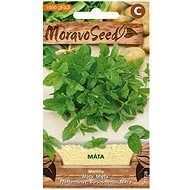 MORAVOSEED CZ Peppermint - Seeds