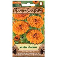 Marigold - Seeds
