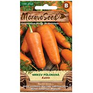 MORAVOSEED CZ Carrot carrot semi-ripe KATRIN - Seeds