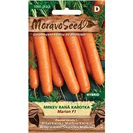 Carrot Early Carrot MARION F1 - Hybrid - Seeds