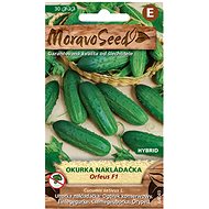 Cucumber Loader Coarse-edged ORFEUS F1 - Hybrid - Seeds