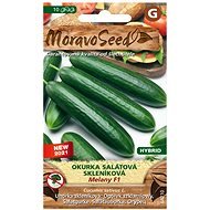 Üvegházi saláta uborka MELANY F1 - hibrid - Vetőmag